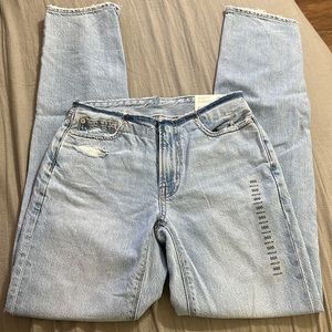 NWT 000 American eagle 90s low-rise straight cool classic jean